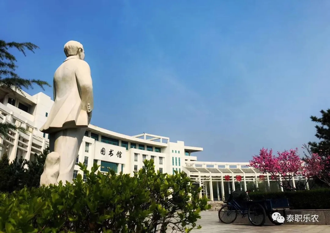 说明: 图片4